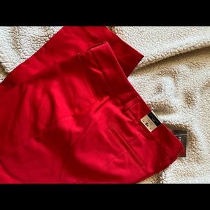 NWT Express Columnist Pants